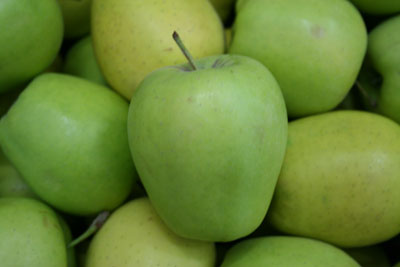 Produkcja dystrybucja owoców warzyw producent jabłek Polska
